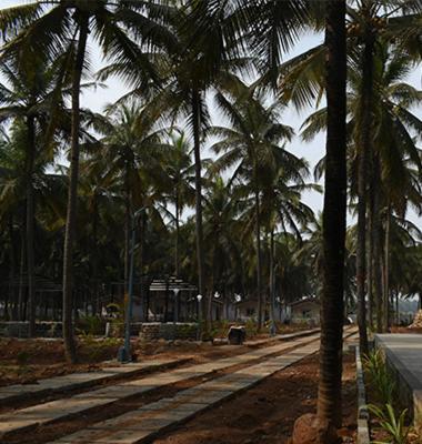 Thumbe Goodu Resort Yadiyur エクステリア 写真